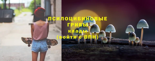 гашик Алексеевка