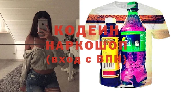 индика Алексин