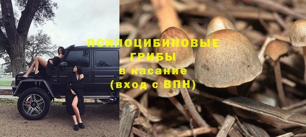 гашик Алексеевка