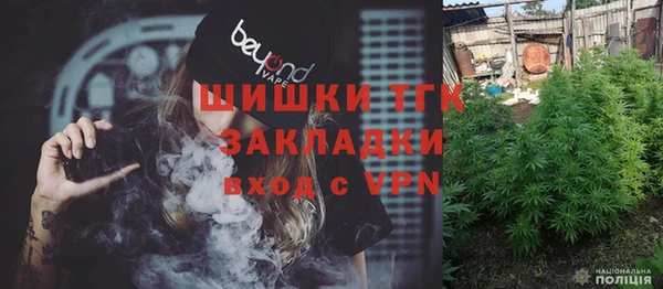 гашик Алексеевка