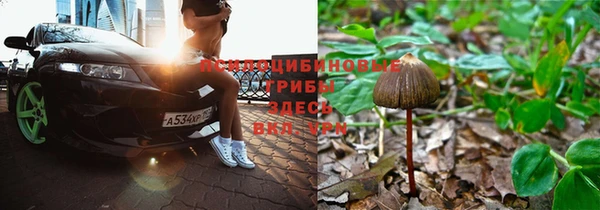 MDMA Premium VHQ Алзамай